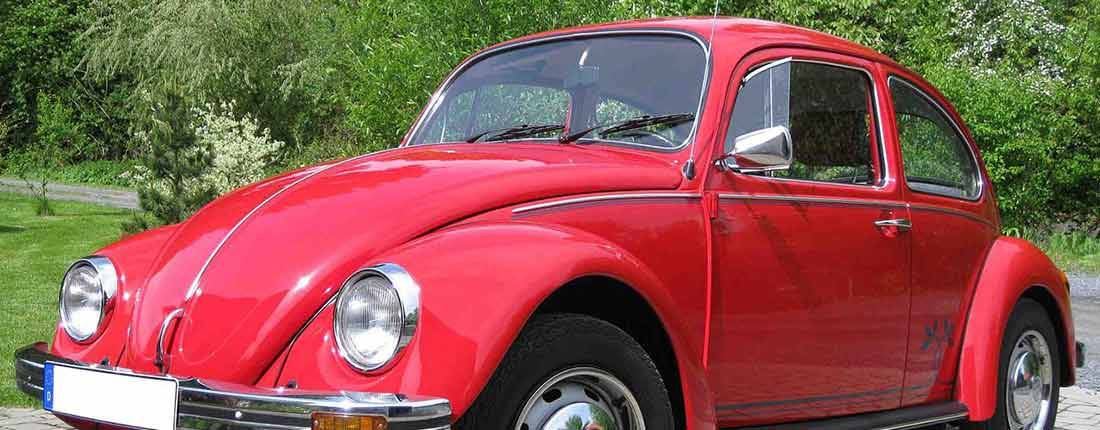 vw-kaefer-l-01